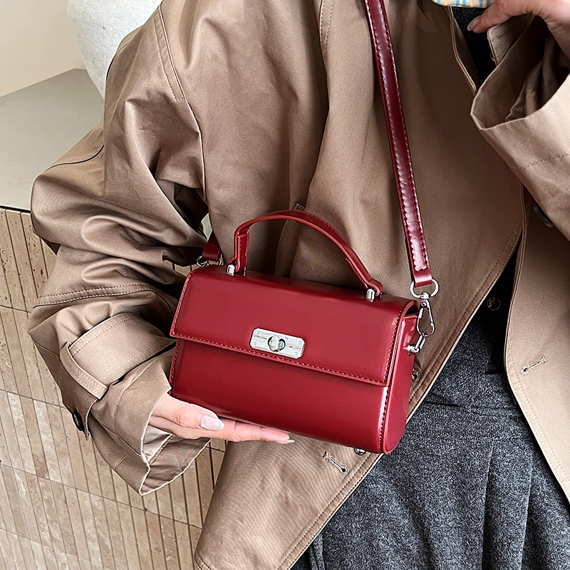 Exquisite Mini Top-handle Bags - Women'S Fashion Boutique avis et prix